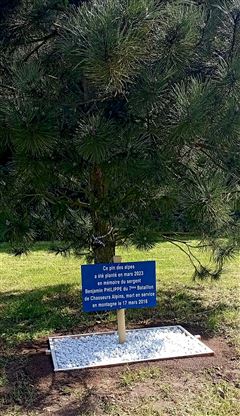 Plaque commémorative pin Plaque commémorative pin